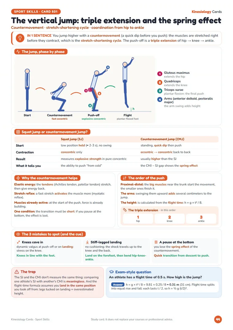 Card The vertical jump