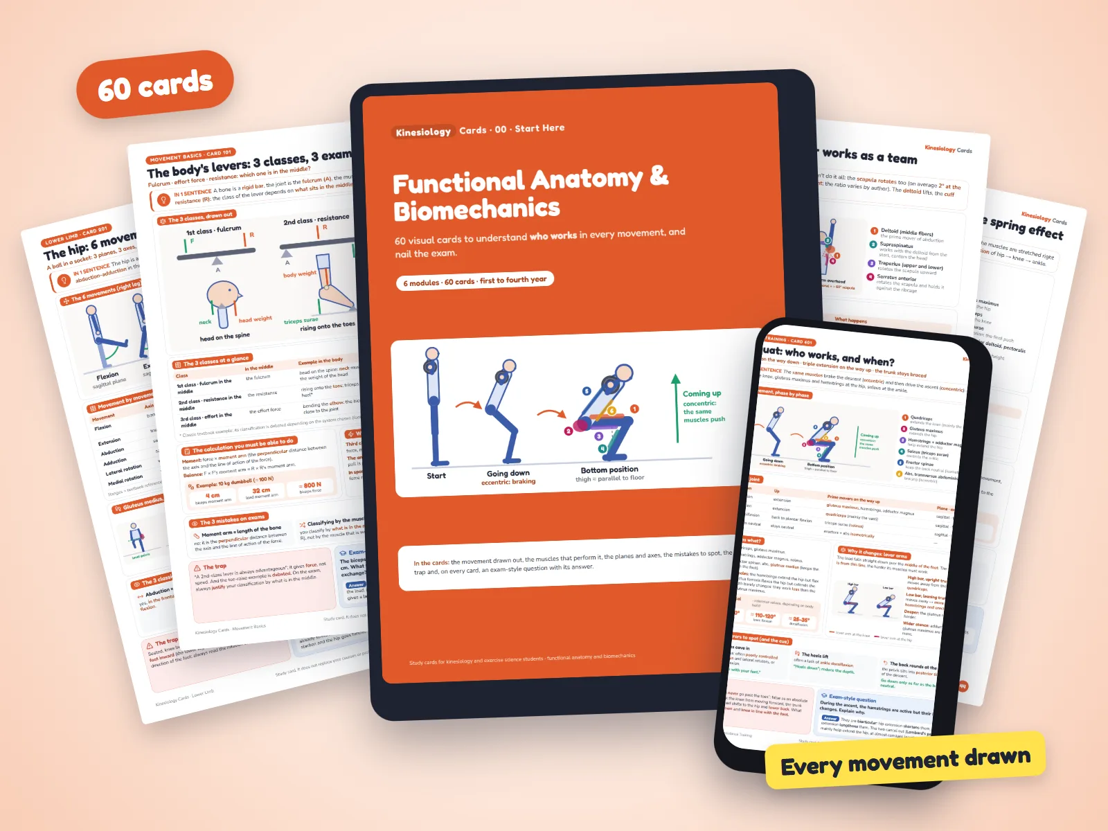 Kinesiology Cards: the cover on a tablet, a card on a phone and several cards around them